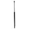Liftgate Lift Support Set
