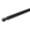 Liftgate Lift Support Set