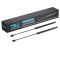 Liftgate Lift Support Set