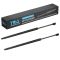 Liftgate Lift Support Set