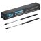Liftgate Lift Support Set