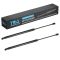 Liftgate Lift Support Set