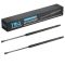Liftgate Lift Support Set