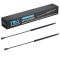 Liftgate Lift Support Set