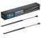 Liftgate Lift Support Set
