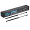 Liftgate Lift Support Set