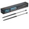 Liftgate Lift Support Set