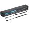 Liftgate Lift Support Set