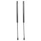 Liftgate Lift Support Set