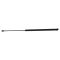Liftgate Lift Support Set