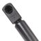Liftgate Lift Support Set