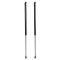 Liftgate Lift Support Set