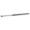 Liftgate Lift Support Set