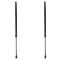 Liftgate Lift Support Set