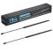 Liftgate Lift Support Set