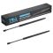 Liftgate Lift Support Set