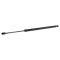 Liftgate Lift Support Set