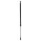Liftgate Lift Support Set
