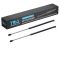 Liftgate Lift Support Set