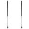 Liftgate Lift Support Set