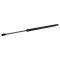 Liftgate Lift Support Set