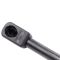 Liftgate Lift Support Set