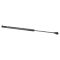 Trunk Lid Lift Support Set