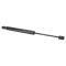 Trunk Lid Lift Support Set