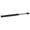 Trunk Lid Lift Support Set