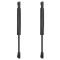 Trunk Lid Lift Support Set