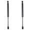 Trunk Lid Lift Support Set