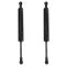 Trunk Lid Lift Support Set