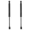 Trunk Lid Lift Support Set