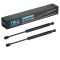 Trunk Lid Lift Support Set