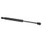 Trunk Lid Lift Support Set