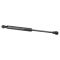 Trunk Lid Lift Support Set