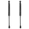 Trunk Lid Lift Support Set