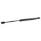 Trunk Lid Lift Support Set