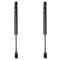 Trunk Lid Lift Support Set