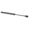 Trunk Lid Lift Support Set