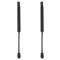 Trunk Lid Lift Support Set