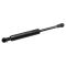 Trunk Lid Lift Support Set