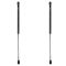 Trunk Lid Lift Support Set