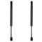 Trunk Lid Lift Support Set