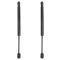 Trunk Lid Lift Support Set