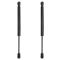 Trunk Lid Lift Support Set