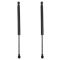 Trunk Lid Lift Support Set