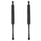 Trunk Lid Lift Support Set