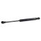 Trunk Lid Lift Support Set