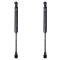 Trunk Lid Lift Support Set